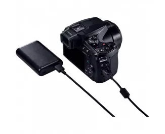 Компактный фотоаппарат Panasonic Lumix DC-FZ82D Black (DC-FZ82DE-K)
