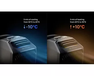 Кондиционер EcoFlow Wave 2 (ZYDKT210-EU)