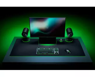 Коврик для мыши Razer Gigantus V2 3XL (RZ02-03330500-R3M1)