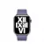Шкіряний ремінець для Apple Watch 38/40/41mm Apple Modern Buckle Wisteria - Small (ML793)