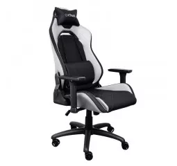 Крісло для геймерів Trust Gaming GXT 714 Ruya White (25065)