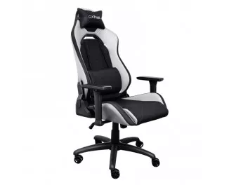 Крісло для геймерів Trust Gaming GXT 714 Ruya White (25065)