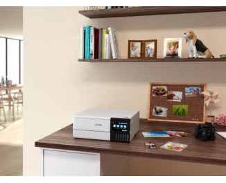 МФУ Epson L8160 c Wi-Fi (C11CJ20404)