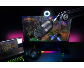 Микрофон Razer Seiren mini Black (RZ19-03450100-R3M1)