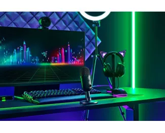 Мікрофон Razer Seiren V2 X (RZ19-04050100-R3M1)