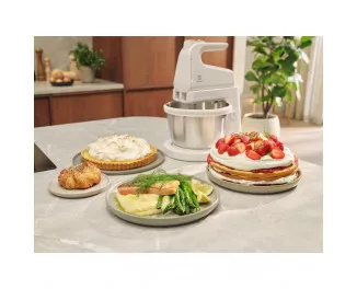 Миксер Electrolux ESM4W (910003748)