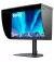 Монитор BenQ SW242Q