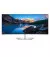 Монитор Dell UltraSharp U4021QW (210-AYJF)