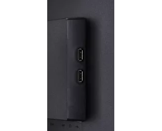 Монитор Iiyama ProLite XU2494HSU-B1 Black
