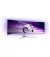 Монитор PHILIPS 49M2C8900/00