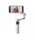 Монопод-стабилизатор Insta360 Flow 2 Pro Gray (CINSABQB-G)