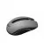 Мышь беспроводная 2E MF217 WL Grey (2E-MF217WC)
