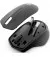 Мышь беспроводная HP 280 Silent Wireless Black (19U64AA)