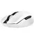 Мышь беспроводная Razer Orochi V2 White (RZ01-03730400-R3G1)