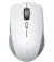Мышь беспроводная Razer Pro Click mini (RZ01-03990100-R3G1)