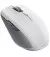 Мышь беспроводная Razer Pro Click mini (RZ01-03990100-R3G1)