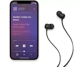 Наушники беспроводные Beats by Dr. Dre Beats Flex All-Day Wireless Earphones Beats Black (MYMC2)