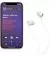 Наушники беспроводные Beats by Dr. Dre Beats Flex All-Day Wireless Earphones Smoke Gray (MYME2)