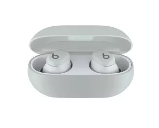 Наушники беспроводные Beats by Dr. Dre Solo Buds Storm Gray (MUVY3)