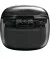 Наушники беспроводные JBL Tune Flex 2 Ghost Black (JBLTFLEX2GBLK)