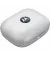 Навушники бездротові Motorola TWS Moto Buds 2024 Starlight Blue (PG38C05748)
