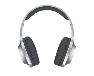 Бездротові навушники Panasonic RB-HX220BEES Silver