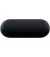 Наушники беспроводные Razer Hammerhead True Wireless 2021 Black (RZ12-03820100-R3G1)