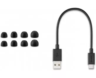 Наушники беспроводные Sony Inzone Buds Black (WFG700NB.CE7)