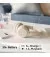 Навушники бездротові Sony WH-CH520 Beige