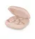 Наушники беспроводные TWS Beats by Dr. Dre Fit Pro Kim K Special Edition Moon (MNW53)