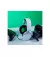 Наушники HyperX Cloud Stinger 2 Core Xbox White (6H9B7AA)