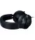 Наушники Razer Kraken Black (RZ04-02830100-R3U1)