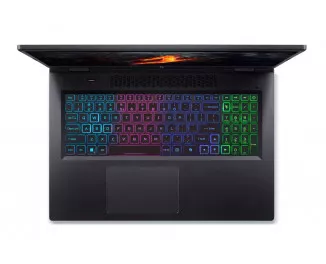Ноутбук Acer Nitro 17 AN17-42 (NH.QSDEU.001) Black