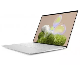 Ноутбук Dell XPS 13 9350 (210-BNHB_U732512) Platinum