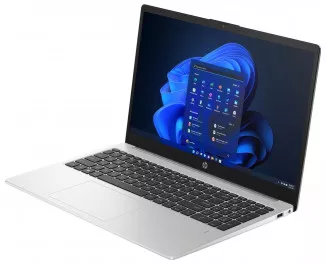 Ноутбук HP 250 G10 (816F9EA) Silver