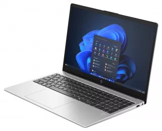 Ноутбук HP 250R G10 (B9YN9ET) Turbo Silver