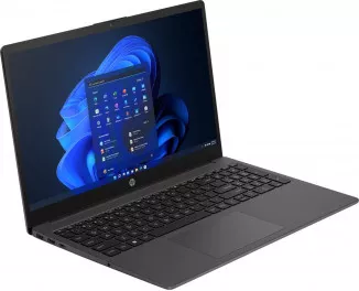 Ноутбук HP 255 G10 (B39SSAT) Dark Ash Silver
