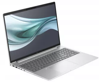 Ноутбук HP EliteBook 665 G11 (B13F8EC) Silver