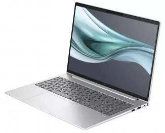Ноутбук HP EliteBook 665 G11 (B13F8EC) Silver