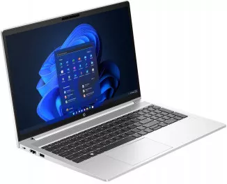 Ноутбук HP ProBook 450 G10 (71H58AV) Silver