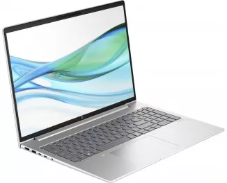 Ноутбук HP ProBook 465 G11 (A1RM6UT) Silver