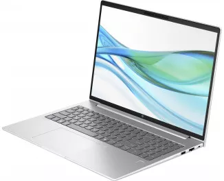 Ноутбук HP ProBook 465 G11 (A38JVET) Silver