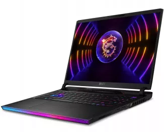 Ноутбук MSI Raider GE68 HX 14VGG (14VGG-287US_64_custom) Black