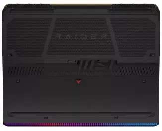 Ноутбук MSI Raider GE68 HX 14VGG (14VGG-287US_64_custom) Black