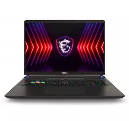 Ноутбук MSI Vector 16 HX A13V (A13VHG-464US) Cosmo Gray