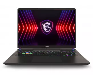 Ноутбук MSI Vector 16 HX A13V (A13VHG-46644) Cosmo Gray