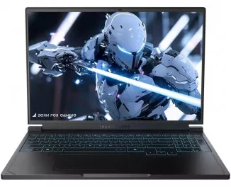 Ноутбук Thunderobot RS16 ID6 2025 (RS16ID6-7945HX16G1T5060_32_1_custom) Black