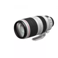 Объектив Canon EF 100-400mm F4.5-5.6L IS II USM (9524B005)