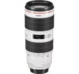 Объектив Canon EF 70-200mm f/2.8L IS III USM (3044C005)