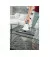Оконный пылесос Karcher WV 5 Premium Home Line 1.633-461.0
